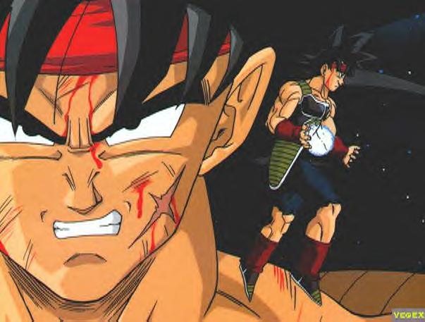 Bardock 